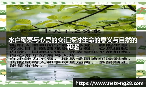 水户蜀葵与心灵的交汇探讨生命的意义与自然的和谐